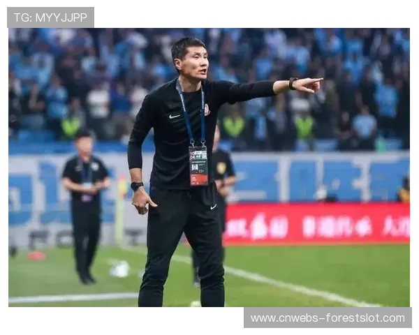 邵佳一受颜骏凌盛赞，球队目标冲击世界杯